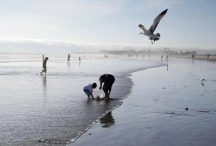 海边玩耍的儿童