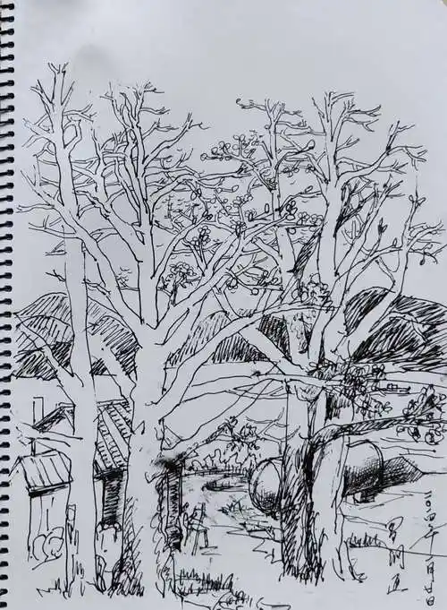 我的美篇227:《画家罗金尧老师风景写生集》线上微展