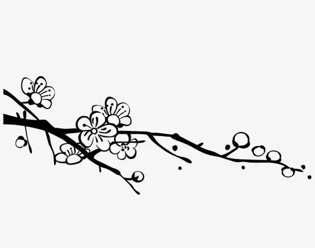 梅花画图片