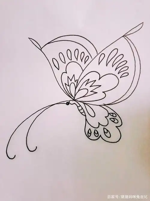 蝴蝶在花间飞来飞去简笔画