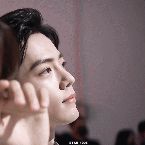 肖战治愈系怼脸笑动图合集9615