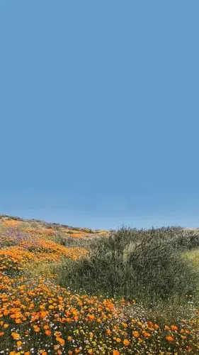 风景锁屏壁纸喜欢点赞适合简单的你