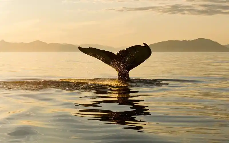 电脑壁纸 风景 海滩风景图片