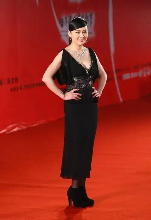 大李琳挺有女人味的身材虽然不瘦但穿衣显出优雅贵妇的气度