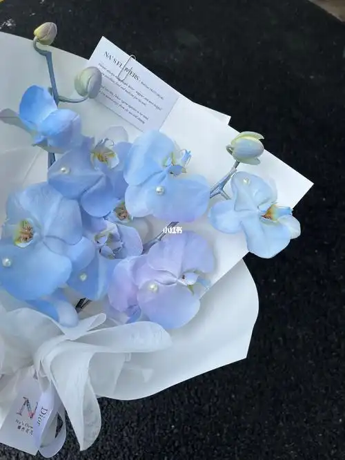 精致的蓝色蝴蝶兰花束郑州花店娜些花儿