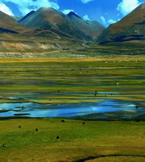 中国美中国最美的六大草原在这里