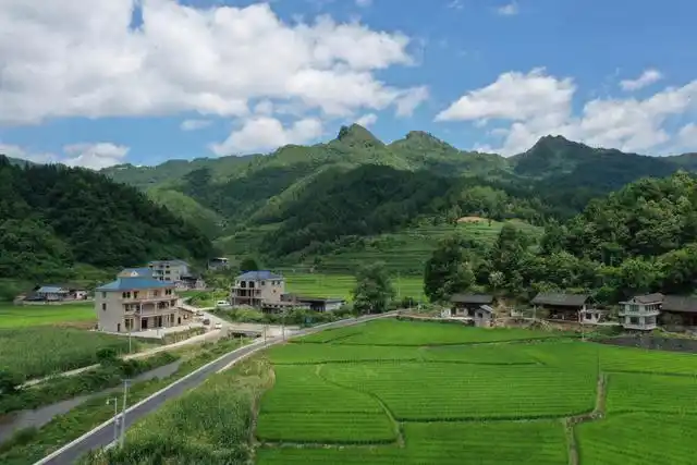 夏日里,地处大山深入的岑巩县各乡镇农村山清水秀,风景如画,美不胜收.