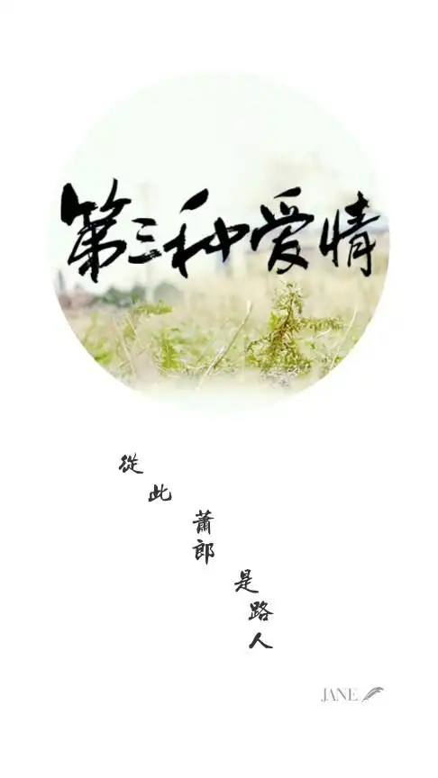 第三种爱情小说句子电影台词宋承宪刘亦菲