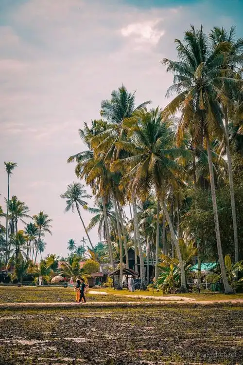 马来西亚亚洲魅力所在##马来马上来