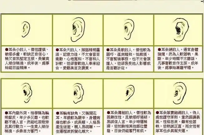 耳朵的形状有哪几种(什么样的耳型漂亮)_玉环网
