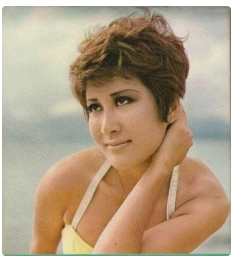 向华强太太(陈岚个人资料年轻照片)