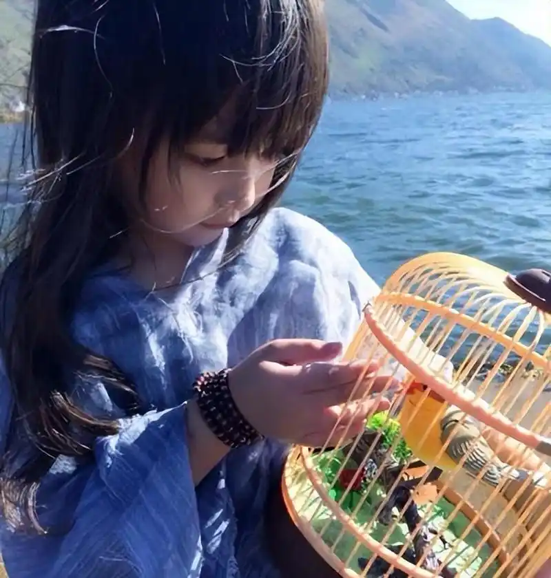 刘楚恬:从童星到学霸的华丽转身 在娱乐圈这个美女如云的行业中,童星