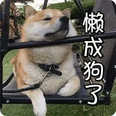 狗狗搞笑表情包来了~不打算让自己可爱点吗?教你转成微信表情包