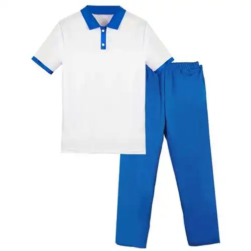 学生校服套装夏季蓝白左耳同款恤初中班学院学生校服