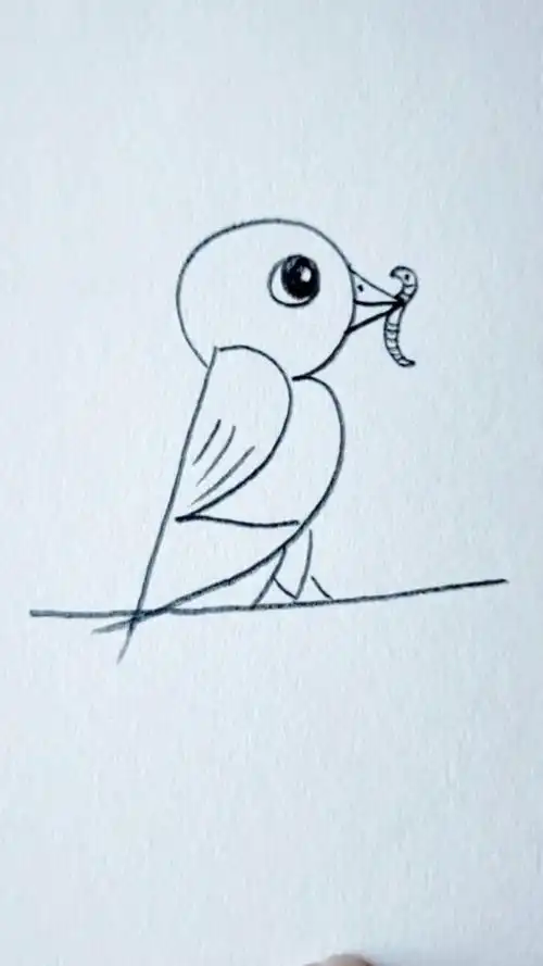 简笔画123就能画小鸟