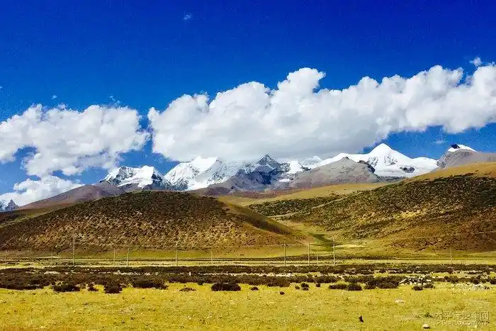一路向西单车七万里越野闯天涯19川藏北线之羌塘大草原上的徜徉