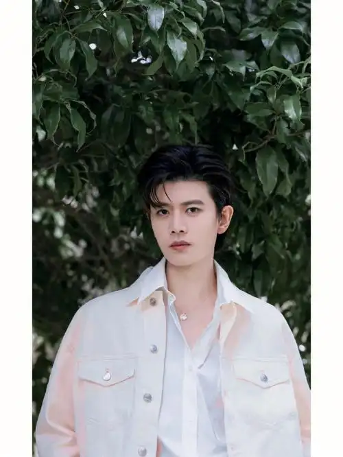 可见不到你这个小太阳 生活又怎么能真正有光 没任嘉伦婚纱照