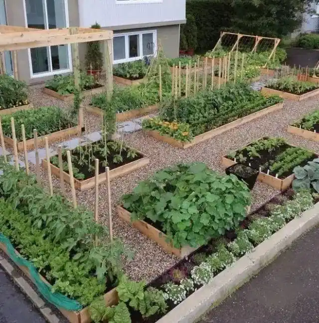 景区创意67菜园变花园