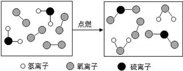 如图所示是某化学反应的微观示意图.