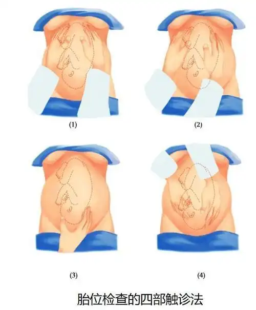 孕产百科书史上最全的产检攻略孕妈必备