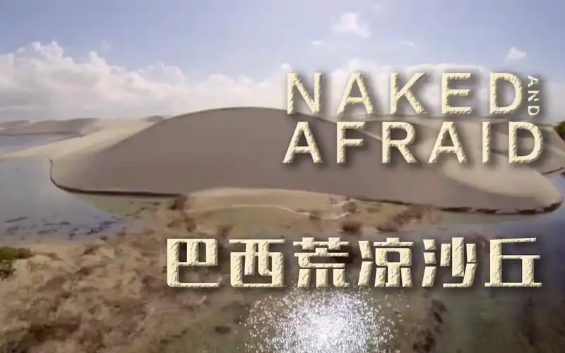 原始生活21天第24集-纪录片-高清正版在线观看-bilibili-哔哩哔哩