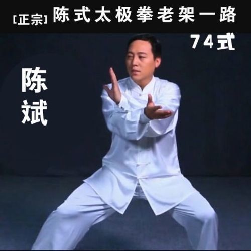 陈斌陈式老架一路七十四式u盘正宗陈氏74式太极拳视频教学dvd光盘