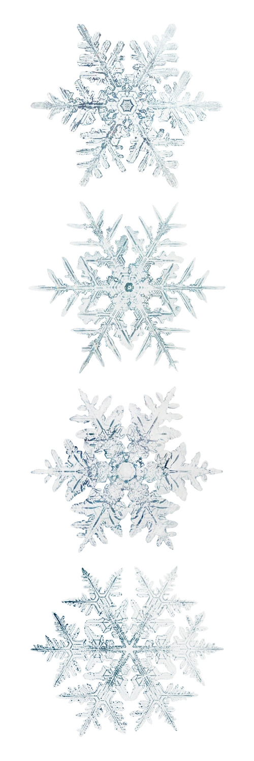 雪花透明集圣诞饰品宏观摄影威尔森本特利摄影混音素材-高清图片-摄影