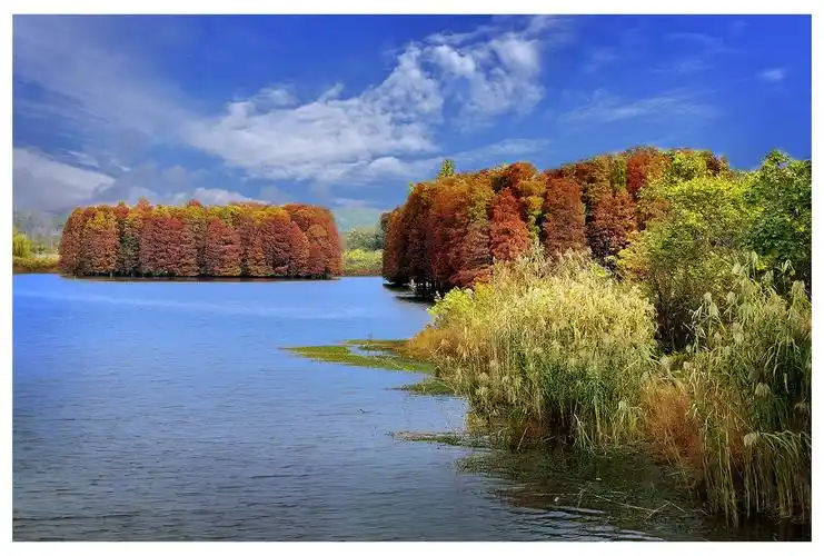 吴苏南作品:锦绣江南好风光