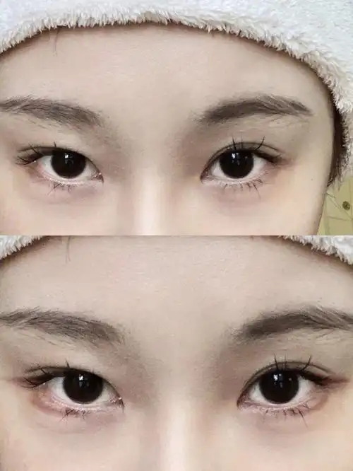 三笔就能画的眼睑下至有手就会给我进来学