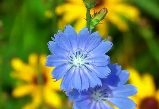 退网,落网?一字之差结局大不同!吴亦凡的事给男人提个醒