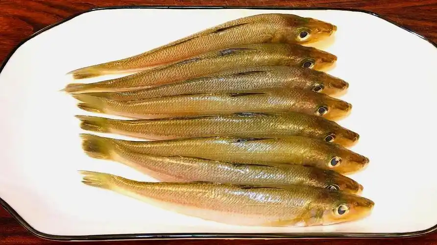 沙尖鱼怎么吃