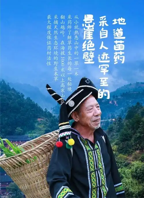 疼痛顽疾,专程探访苗乡,寻觅千年苗寨古方,终于成功研制结合苗医苗药