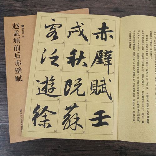 赵孟頫前后赤壁赋 历代墨宝 赵体行书初学毛笔书法临摹放大字帖