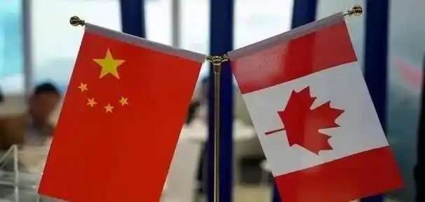 "美国的走狗!"中国外交官公开怒斥加拿大,引发全球热议_凤凰网汽车_凤