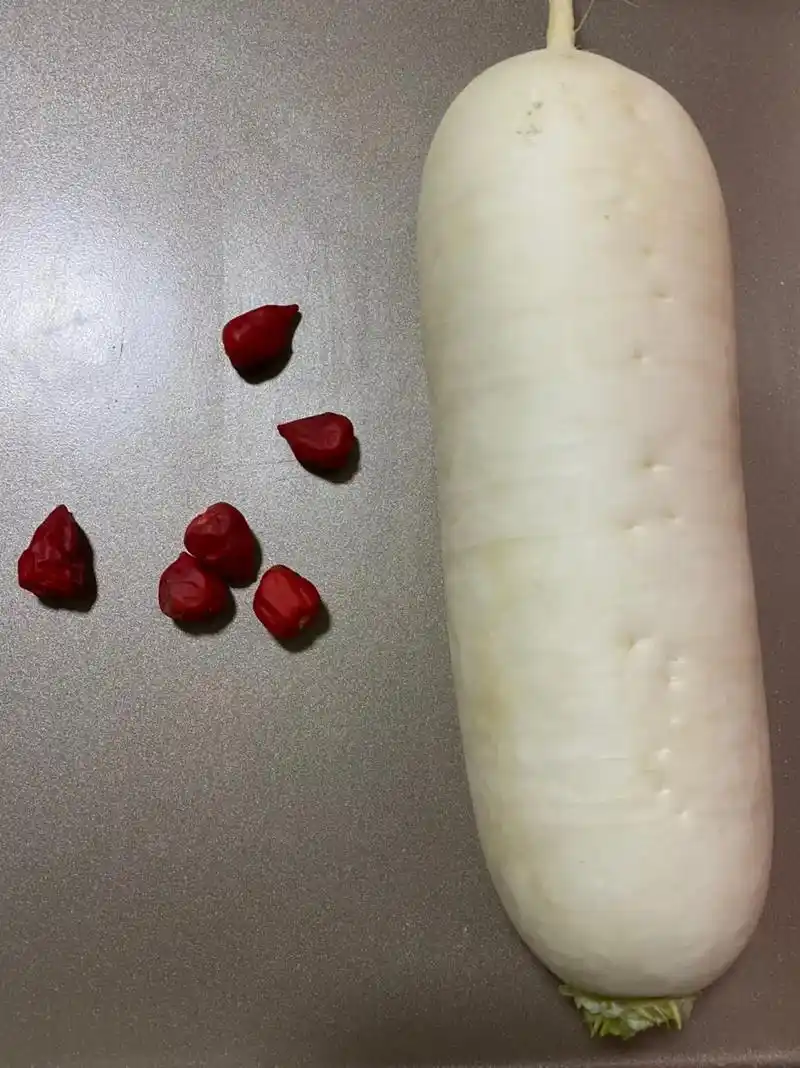 爽口酸萝卜
