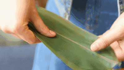 学高手是如何包粽子的