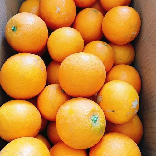 湖南新宁崀山脐橙黄心橙纽荷尔新鲜应季甜橙子现发
