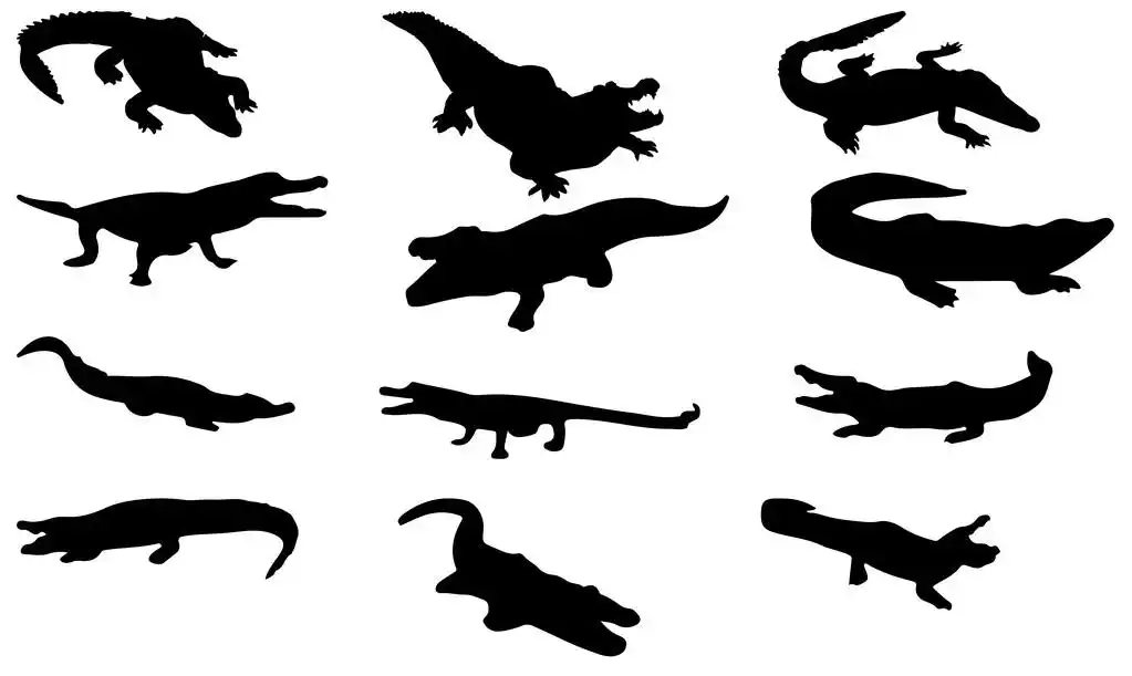 剪影鳄鱼矢量,剪影鳄鱼矢量