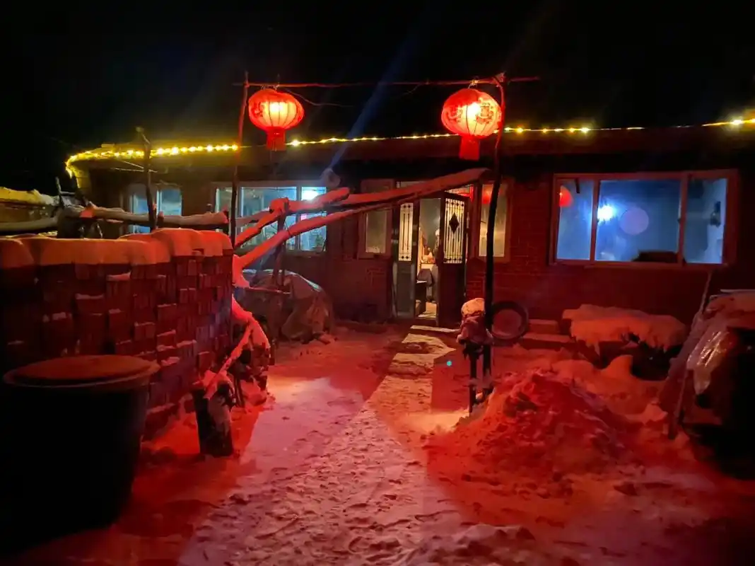 雪 #过年#东北农村生活 二十多年来第一次见证除夕大雪,这 - 抖音