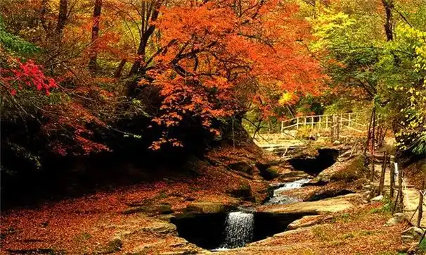 黎坪景区距南郑县55公里,汉中市60公里,西安市298公里,是集山景,林景