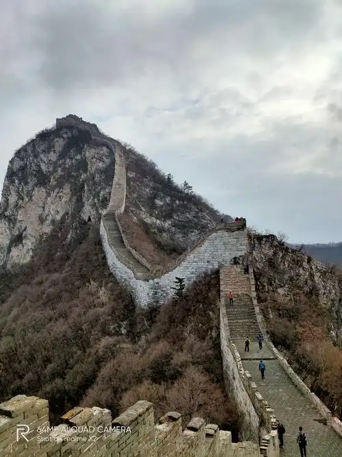鹰飞倒仰远景照片.