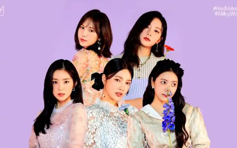 哔哩哔哩_bilibili