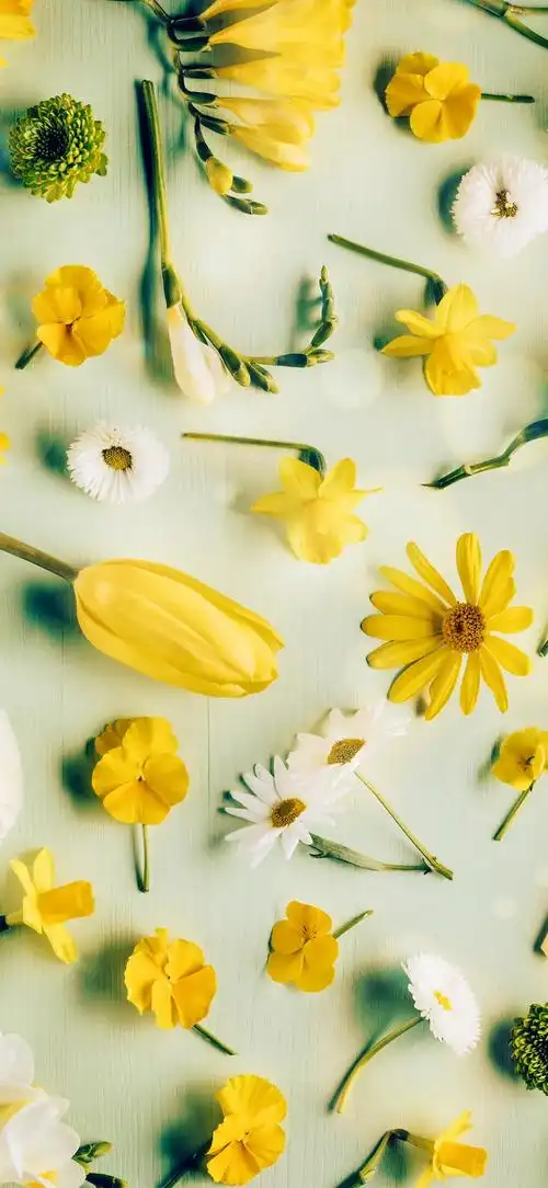 抖音图文来了 #唯美意境 #治愈系壁纸 #小清新壁纸 #最 - 抖音