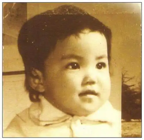 可爱童年看看王菲幼时那些美好旧照