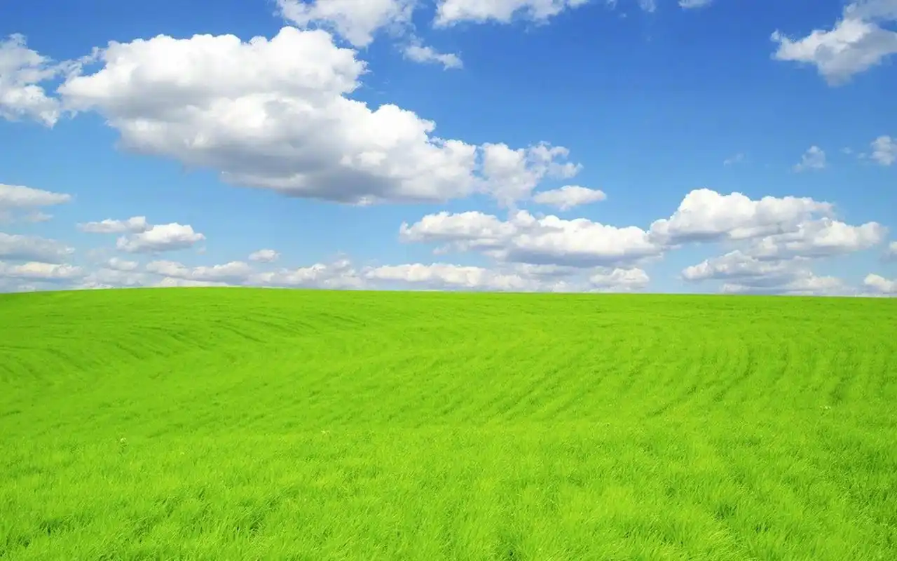清新护眼绿色草地风景图片桌面壁纸