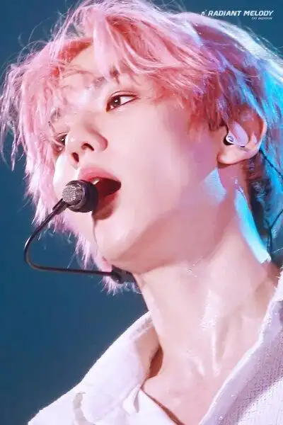 粉红发色伯贤 完美的艺术品