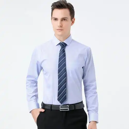 21秋装款商务男士衬衫长袖职业正装百搭中青年白领男装工作服衬衣
