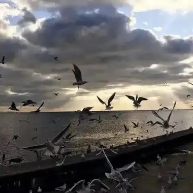 好看的头像图片治愈系唯美意境头像自然风景