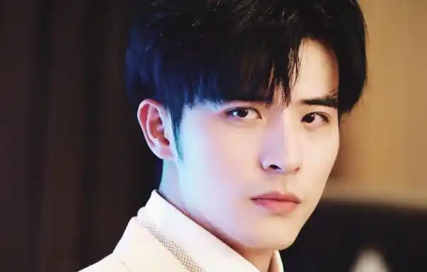 徐开骋个人资料简介身高徐开骋主演的电视剧