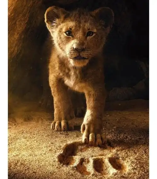 首先就是我们的童年最爱《狮子王》,这部2019年出了第一部的真人动画